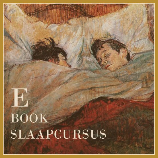 Slaapcursus E-book